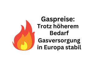 Gaspreise: Trotz höherem Bedarf EU-Gasversorgung konstant