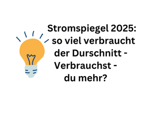 Stromspiegel 2025: Verbrauchst auch du zu viel Strom im Haushalt?