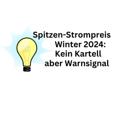 Spitzen-Strompreis: Winter 2024 kein Kartell - doch Alarmglocken